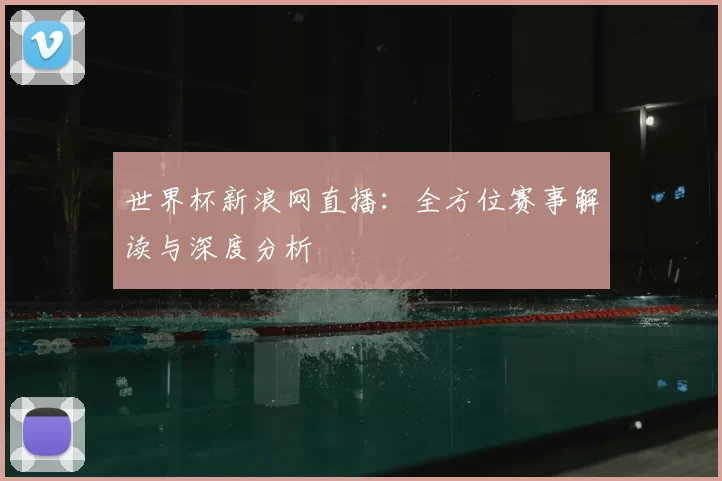世界杯新浪网直播：全方位赛事解读与深度分析