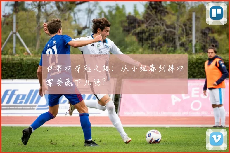 世界杯夺冠之路：从小组赛到捧杯需要赢下几场？
