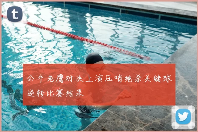 公牛老鹰对决上演压哨绝杀关键球逆转比赛结果