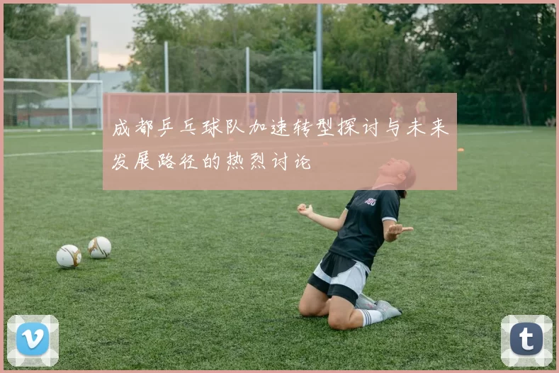 成都乒乓球队加速转型探讨与未来发展路径的热烈讨论