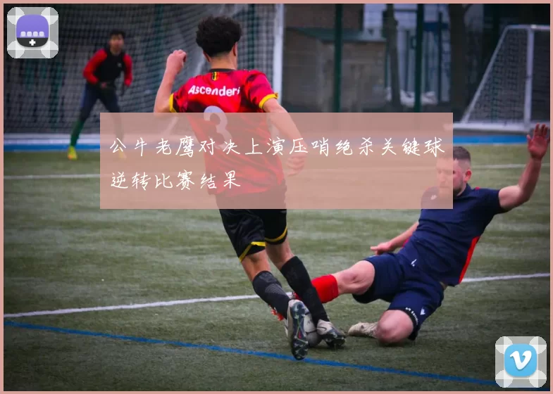 公牛老鹰对决上演压哨绝杀关键球逆转比赛结果