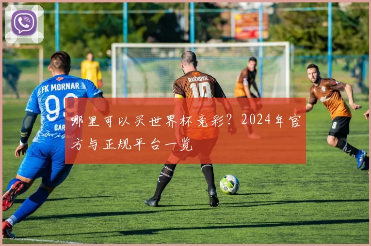 哪里可以买世界杯竞彩？2024年官方与正规平台一览