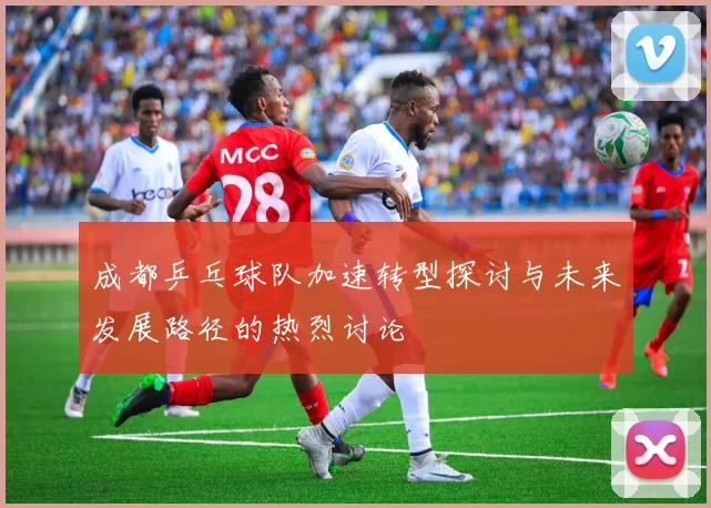 成都乒乓球队加速转型探讨与未来发展路径的热烈讨论