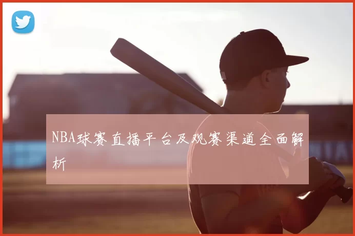 NBA球赛直播平台及观赛渠道全面解析
