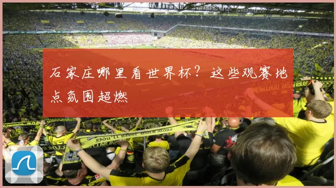 石家庄哪里看世界杯?这些观赛地点氛围超燃