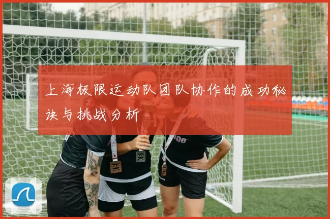 上海极限运动队团队协作的成功秘诀与挑战分析