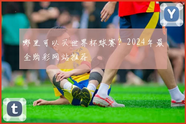 哪里可以买世界杯球赛？2024年最全购彩网站推荐