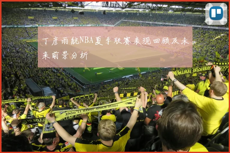丁彦雨航NBA夏季联赛表现回顾及未来前景分析