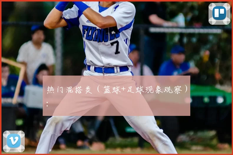 热门混搭类(篮球+足球现象观察):