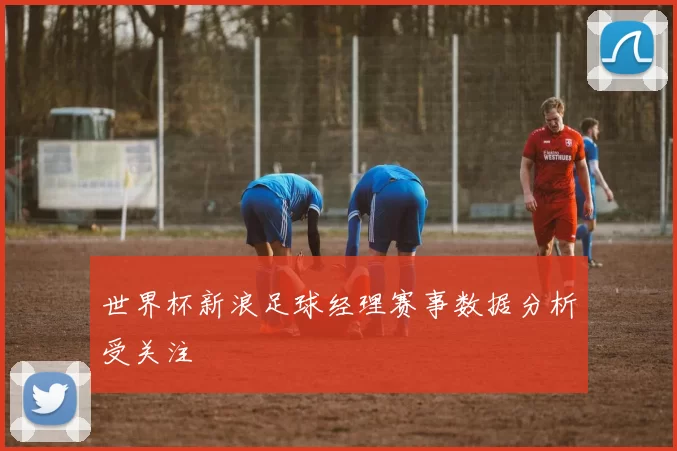 世界杯新浪足球经理赛事数据分析受关注