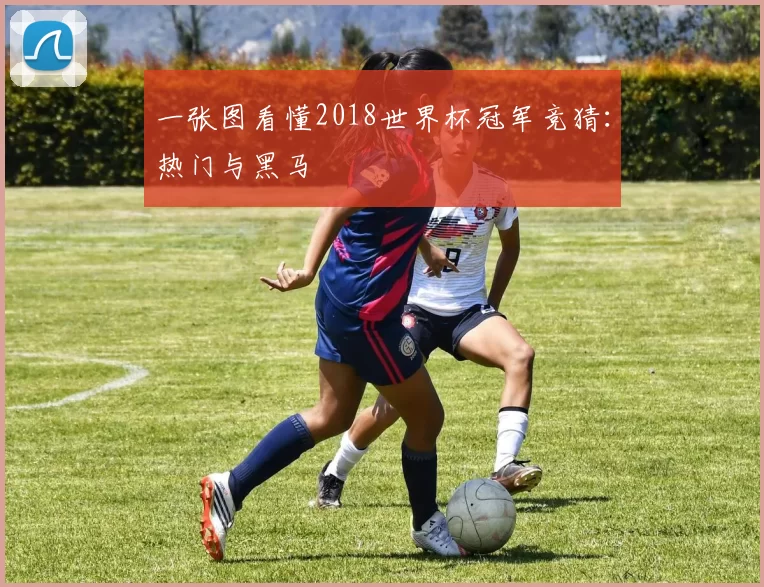 一张图看懂2018世界杯冠军竞猜：热门与黑马