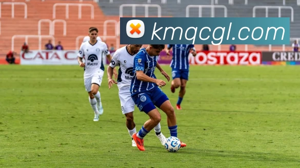 球盟会平台生态图